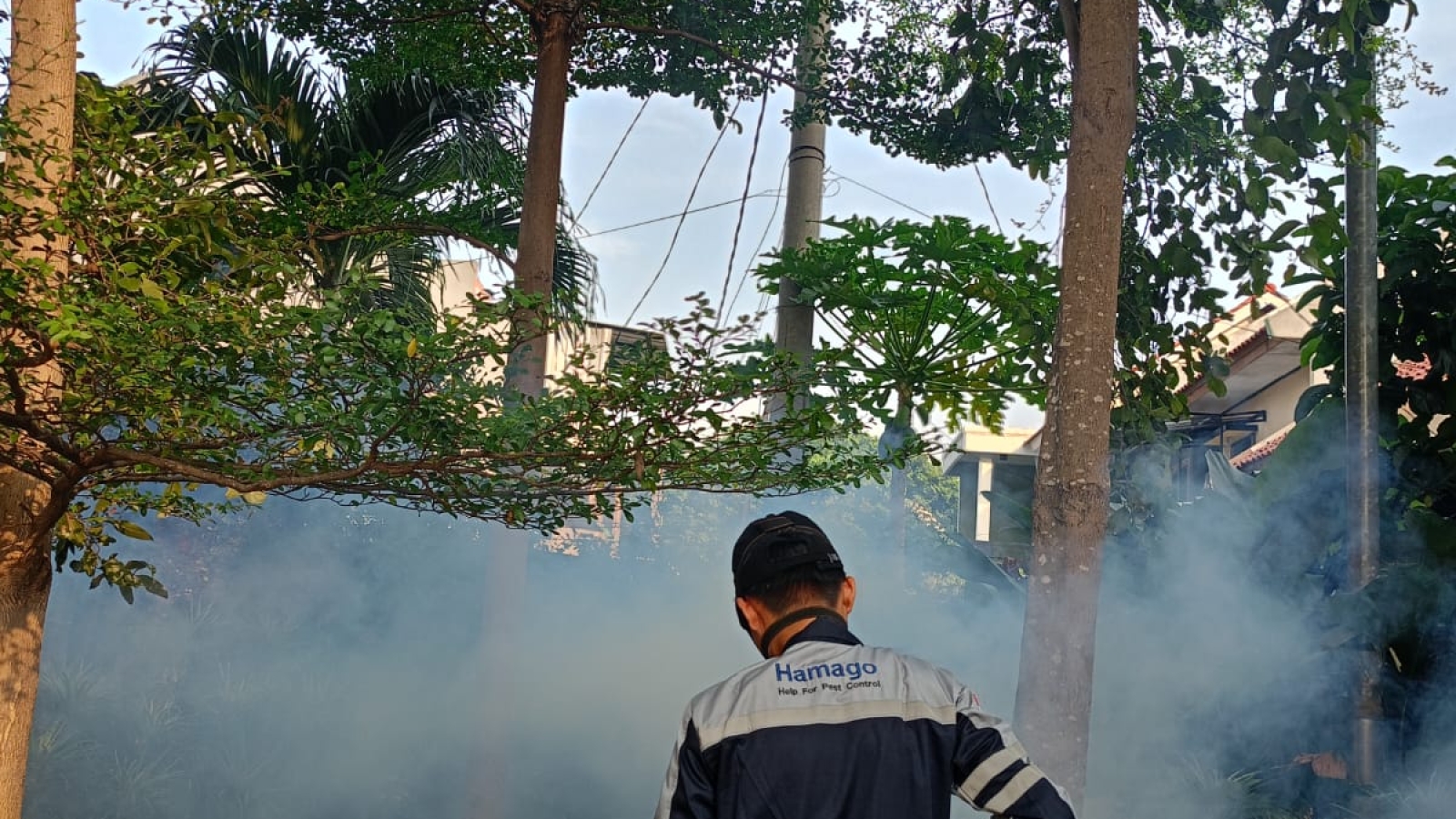 WhatsApp Image 2025-01-08 at 14.53.06 (3)