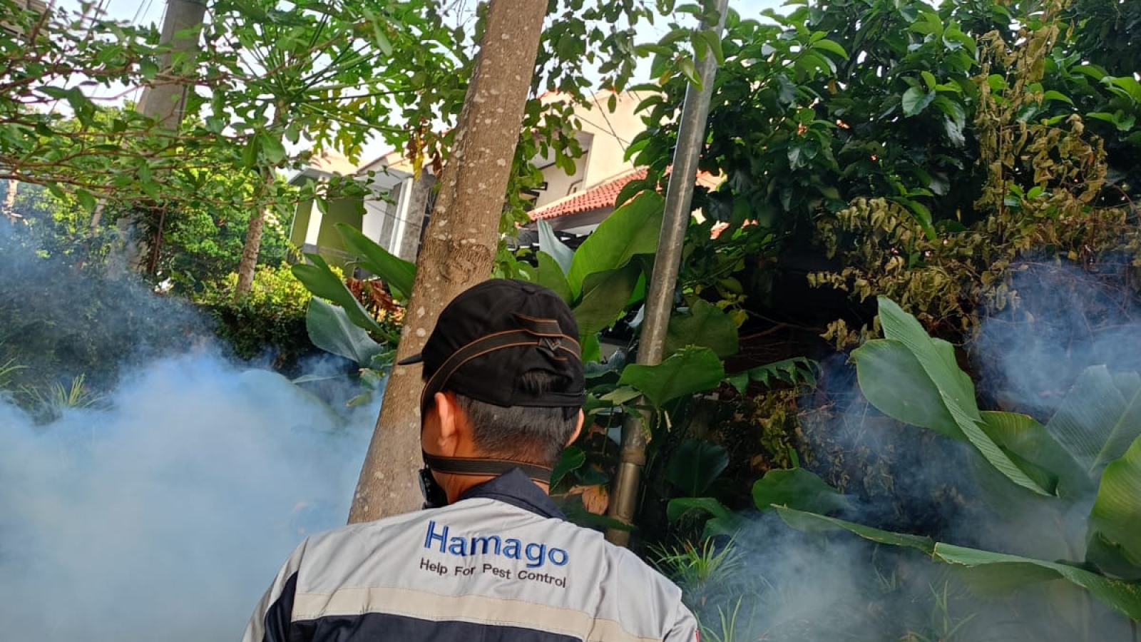 jasa fogging profesional area depok