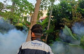 jasa fogging profesional area depok