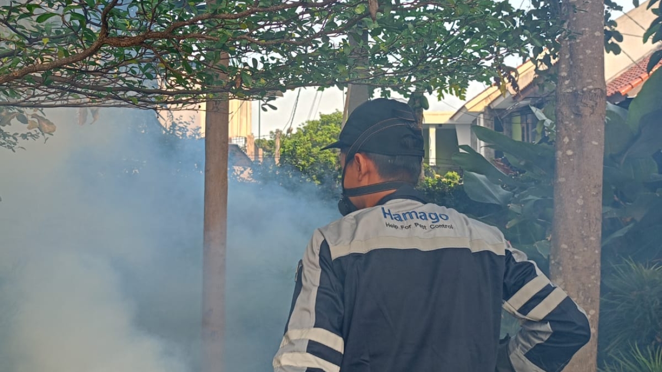 fogging nyamuk dbd