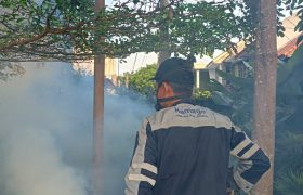 fogging nyamuk dbd