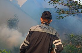 jasa fogging hamago