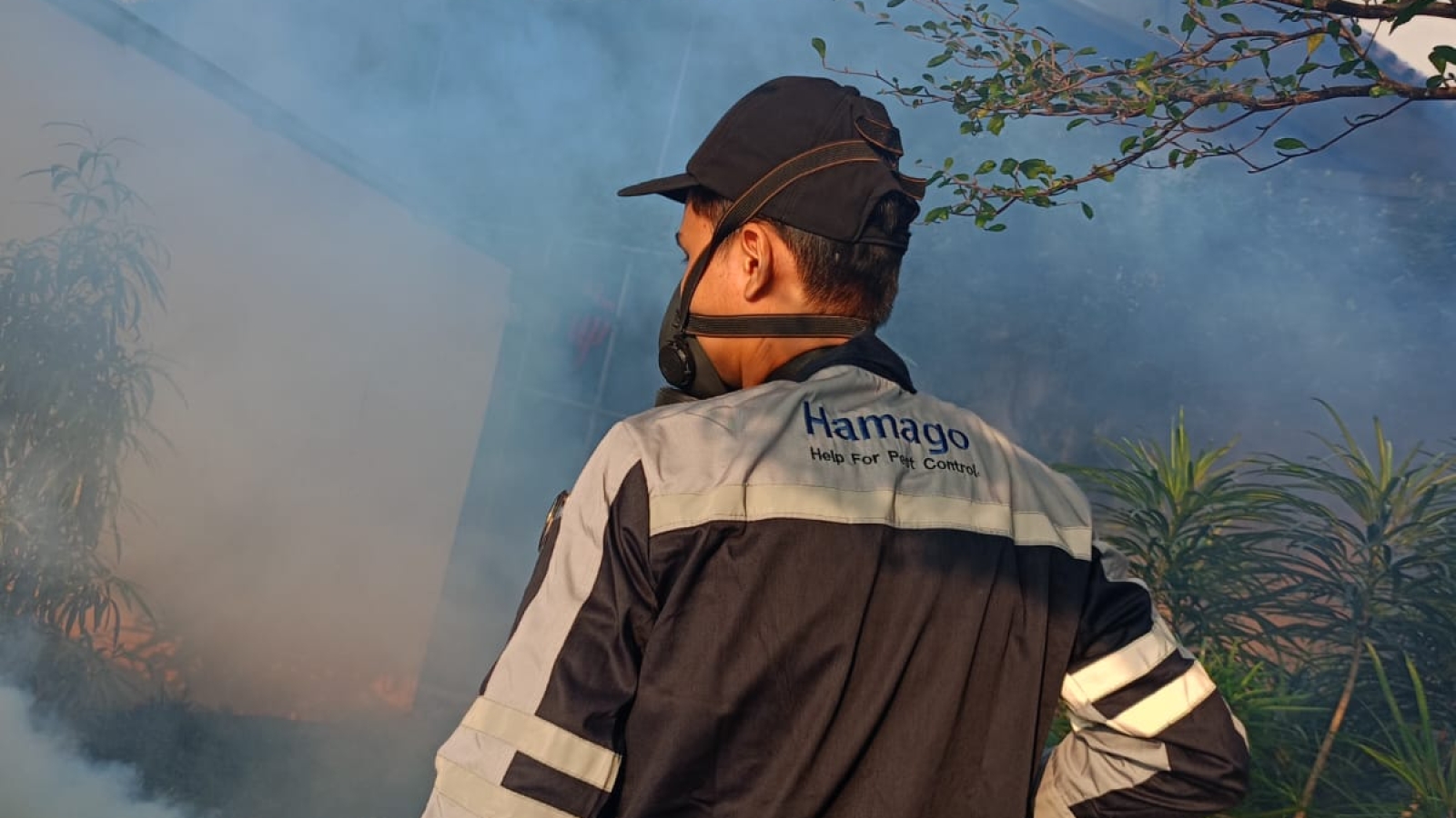 jasa foggng jakarta selatan