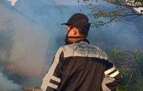 jasa foggng jakarta selatan