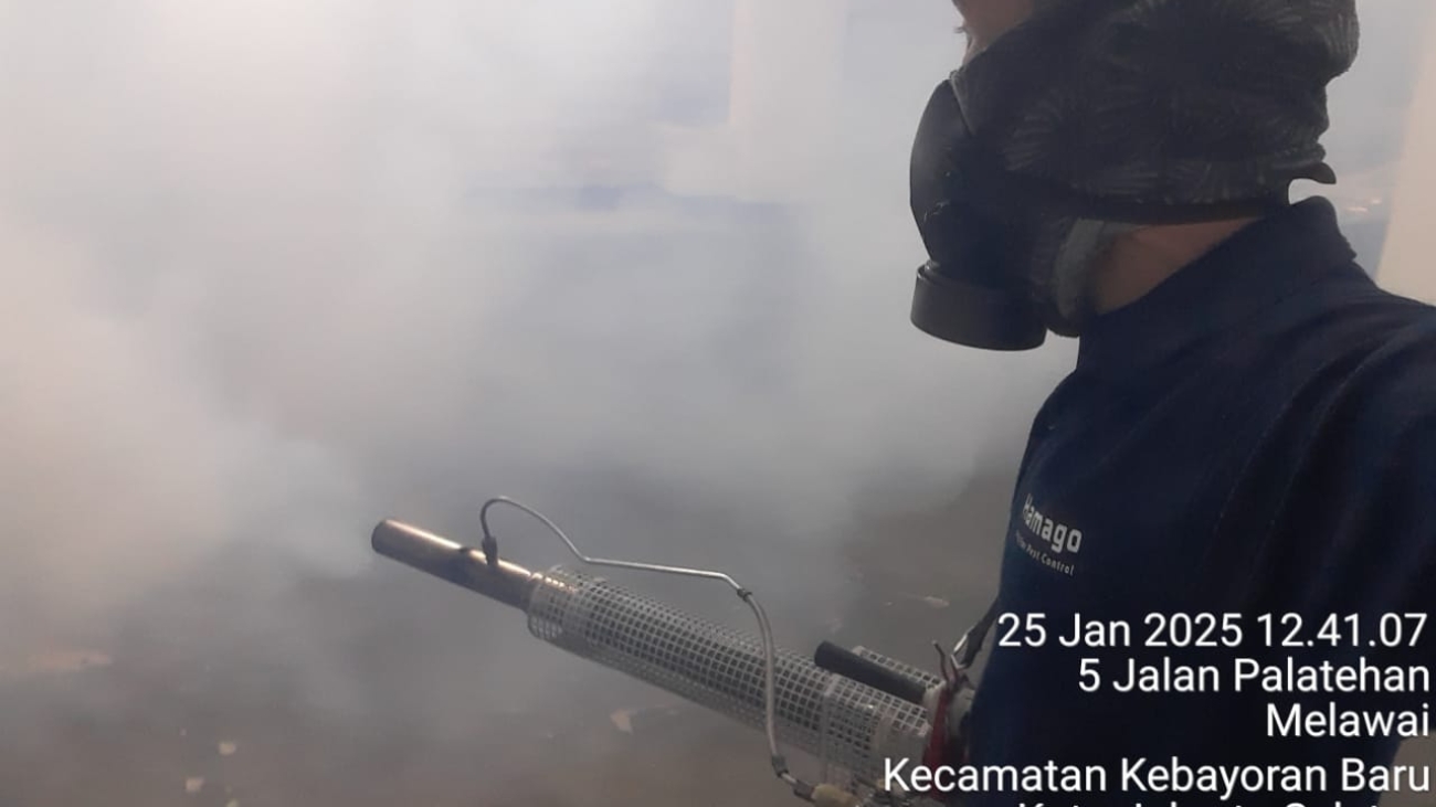 WhatsApp Image 2025-02-18 at 14.22.33