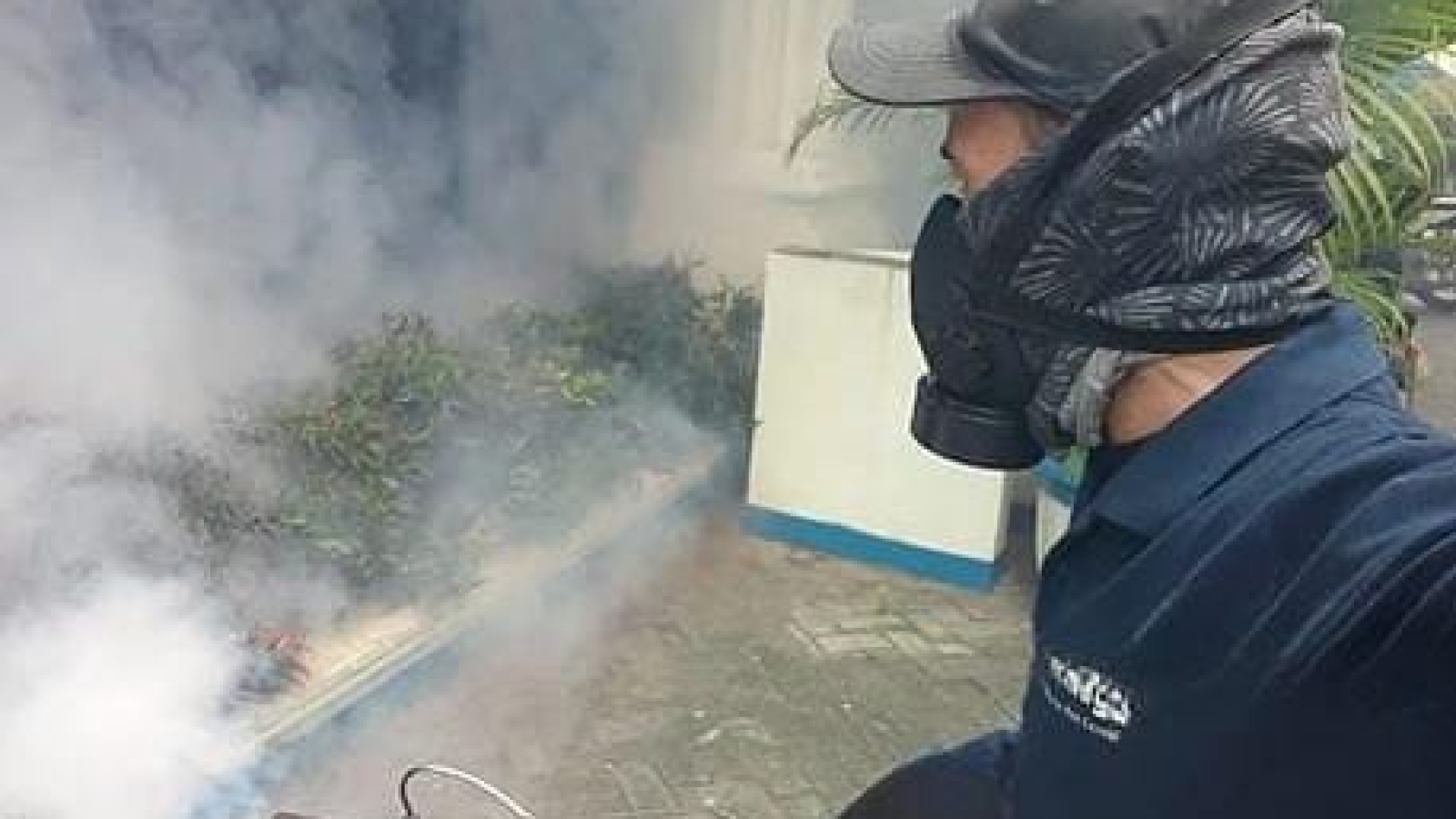 jasa fogging
