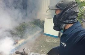jasa fogging