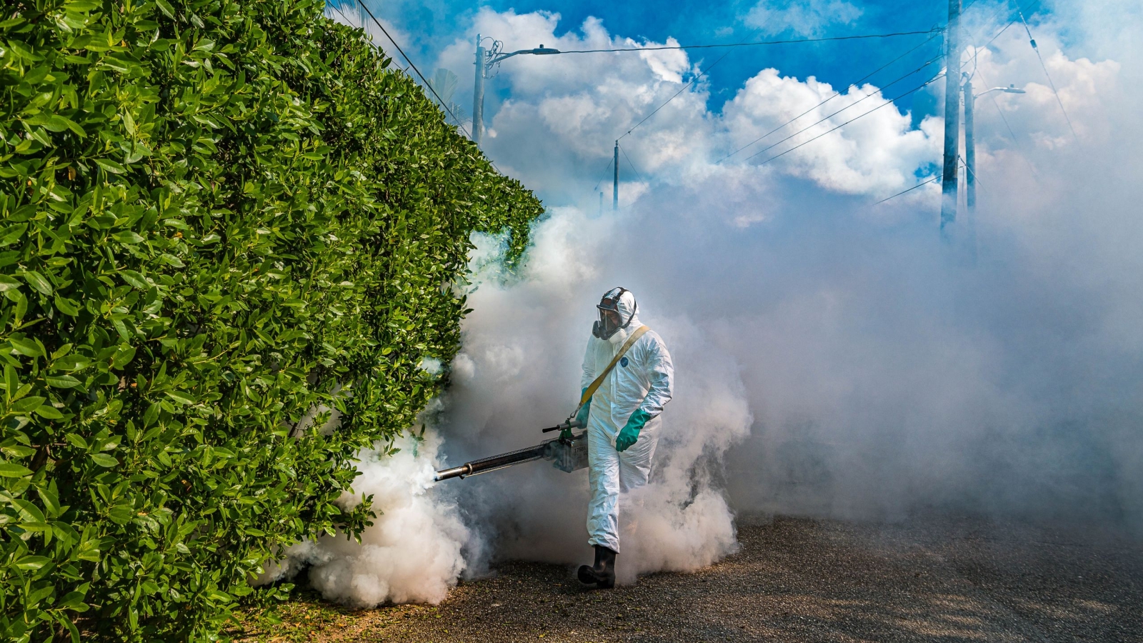 Mosquito-Fogging-photo-A