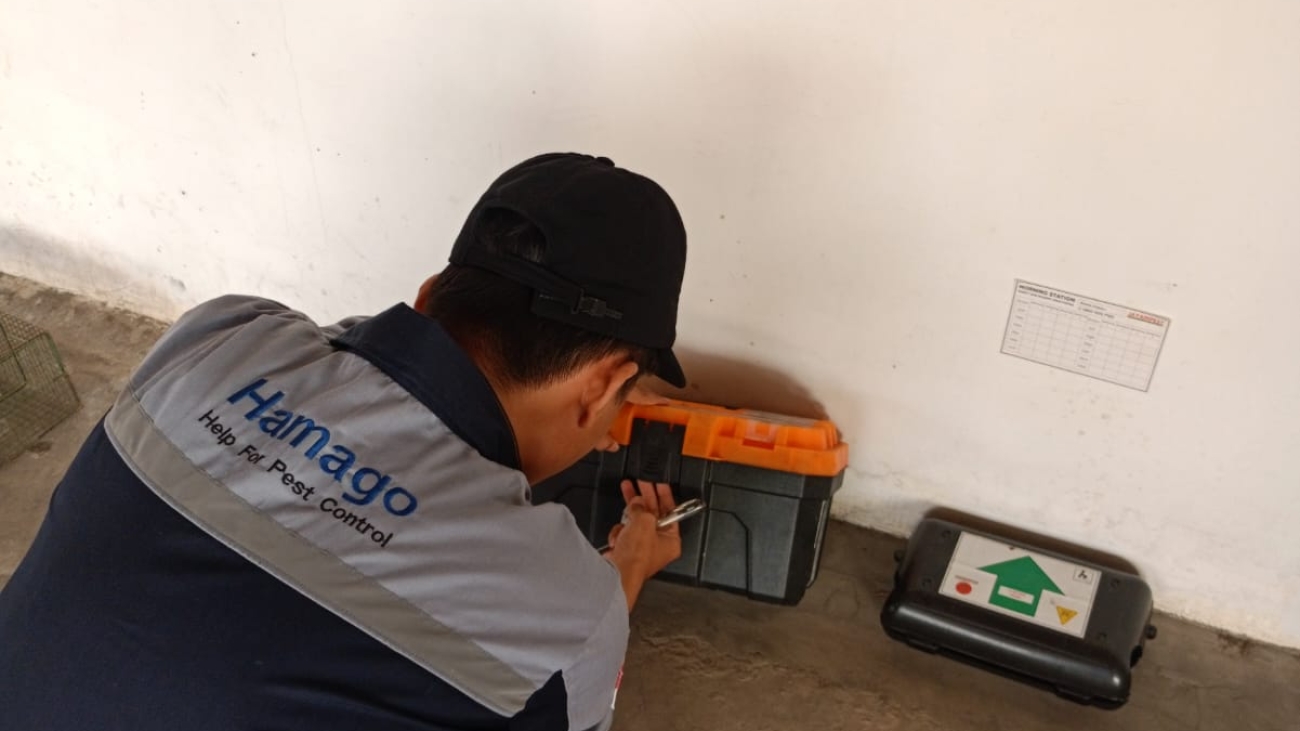 WhatsApp Image 2025-03-10 at 10.11.42