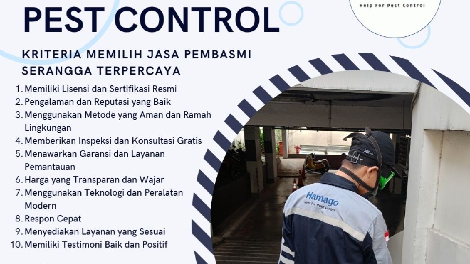 Kriteria Memilih Jasa Pembasmi Serangga Terpercaya