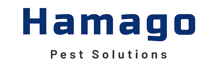 Website Resmi Hamago